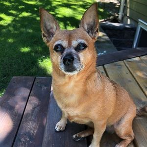 Meet your Posher, Amy